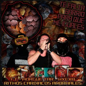 TE FALTA BARRIO PARA QUE ME IGUALES (feat. MORGUE TAR & HALLUCINOGENICS EXTREME ANXIETY)