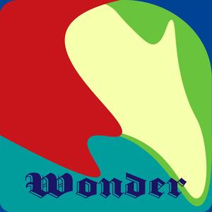 Wonder