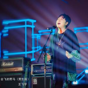 会飞的野马  - 2018中国大学音乐超级联赛 (男生版Live)