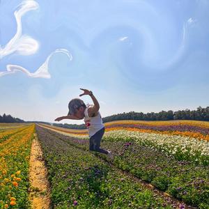 Verse (feat. Solocash) (Explicit)