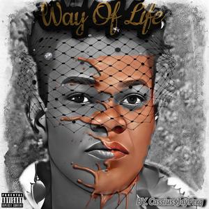Way Of Life (Clean)