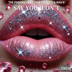 SAY YOU WON'T (feat. RAH B) (Explicit)