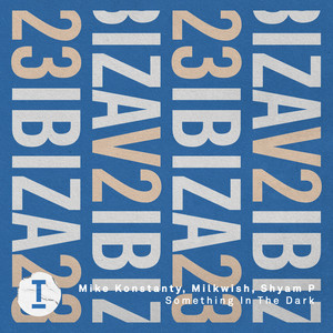 Something In The Dark (Extended Mix)