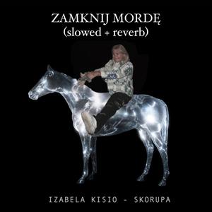 Zamknij Mordę (feat. Sandra S) (slowed + reverb)