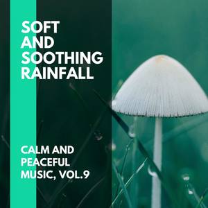 Soft and Soothing Rainfall - Calm and Peaceful Music, Vol.9