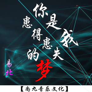 苍茫的天涯是我的爱DJ