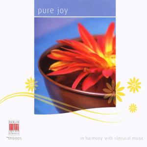 Suite for Flute and Piano, Op. 116: II. Idylle - Quasi adagio, molto tranquillo