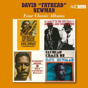 Hard Times (Ray Charles Presents David Newman)