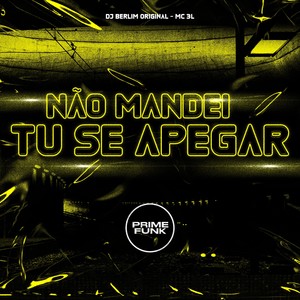 Não Mandei Tu Se Apegar (Explicit)