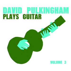 David Pulkingham Plays Guitar Vol 3