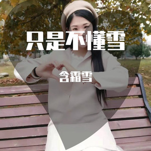 只是不懂雪