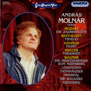 Die Zauberflöte, K. 620, Die Zauberflöte (the Magic Flute), K. 620, Act I - Die Zauberflöte, K. 620, Die Zauberflöte (the Magic Flute), K. 620, Act I: Aria. Dies Bildnis ist …