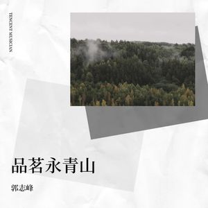 品茗永青山