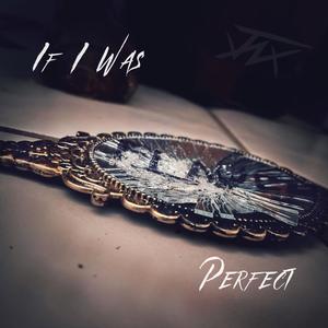 If I was Perfect