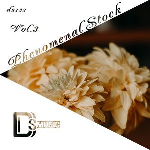 Phenomenal Stock, Vol. 3