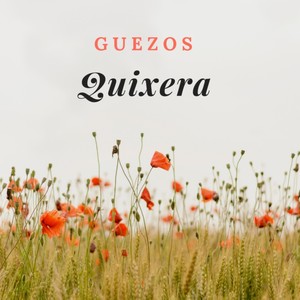 Quixera