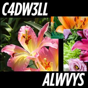 ALWVYS