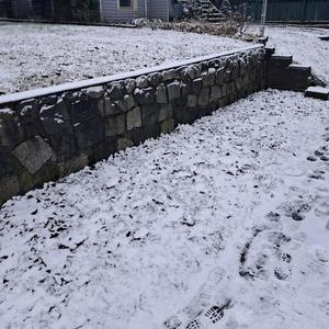 LET YOU ROT (Explicit)