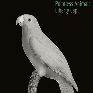 Liberty Cap (Original Mix)