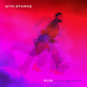 Run (Dave Audé Remix)