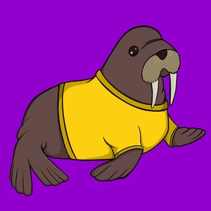 Walrus