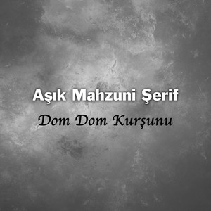 Dom Dom Kurşunu