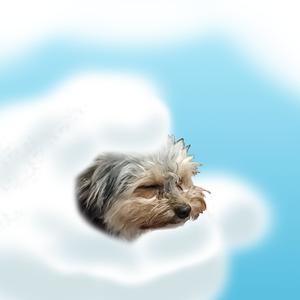 Estragaram a Plugados e eu estou bem triste