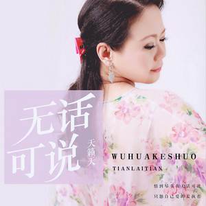 无话可说 (DJ版伴奏)封面