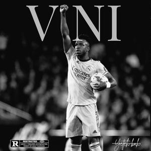 VINI (Explicit)