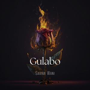 Gulabo