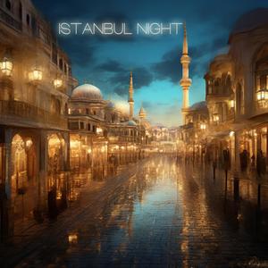Istanbul Night