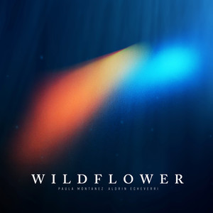 WILDFLOWER UNA CORDA