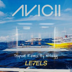 Levels (Tropical Remix|Remix)
