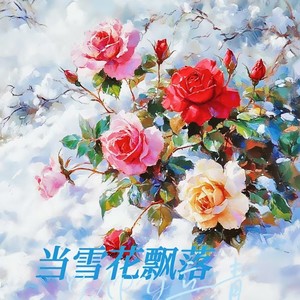 当雪花飘落伴奏