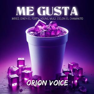 Me Gusta (feat. Young Mugi, Dikey El Forty & Ciclon El Chamakito) [Explicit]