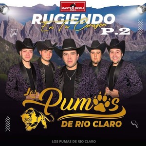 Como Tu Decidas