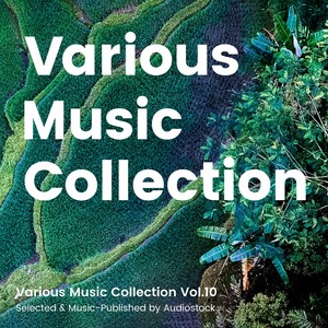 Various Music Collection Vol.10 -Selected & Music-Published by Audiostock-