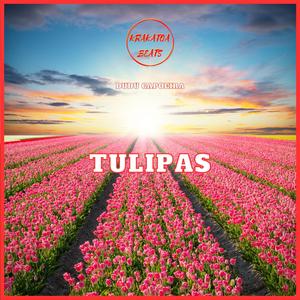 Tulipas