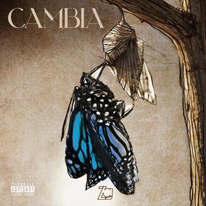 CAMBIA (Explicit)