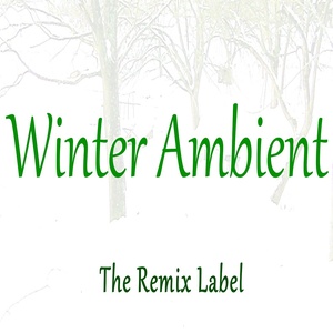 Winter Ambient (Chillout Lounge Inspirational Music Album)