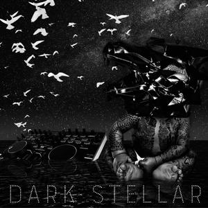 The Dark Stellar