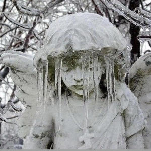 notinthepicture (feat. starfoxlaflare) (Explicit)