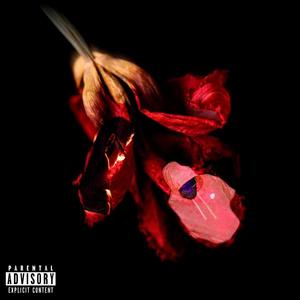 Solo Cruise (Lose It) (feat. Ninety3) (Explicit)