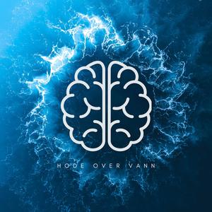 Hode Over Vann (feat. ToRxMusic) (Explicit)