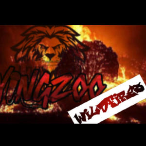 Wildfires (feat. Ballistic & DiiZii Muad’Dib) [Explicit]