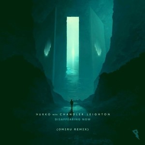 Disappearing Now (Omiru Remix)
