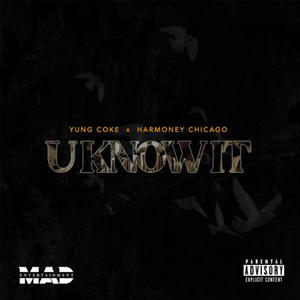 U Know It (feat. Harmoney Chicago) [Explicit]