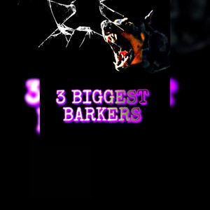 3 Biggest Barkers(feat. SoloMia & MT ChrisP) (Explicit)