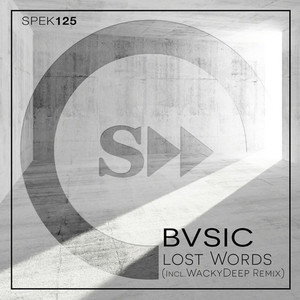 Lost Word (incl.WAcky Deep Remix)