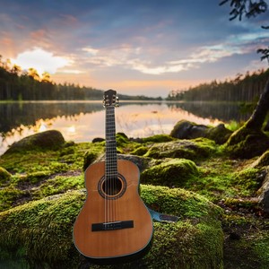 Nature's Resonance: Guitar Relaxation Among Wildlife